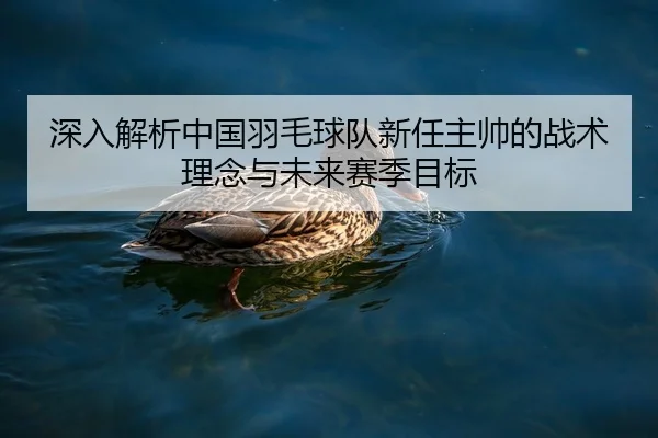 深入解析中国羽毛球队新任主帅的战术理念与未来赛季目标